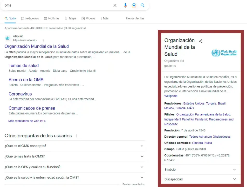 rich snippet organización