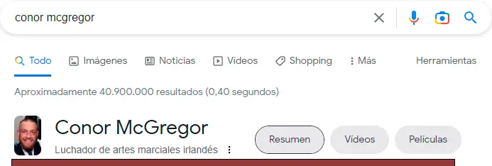 rich snippet persona